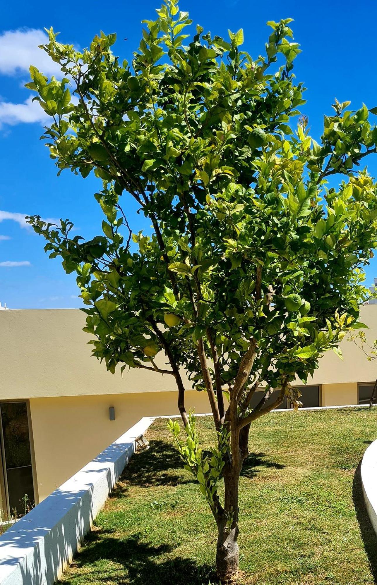 Hostel Supremo Armação de Pêra 外观 照片